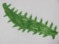 /album/photo-gallery-bioctic-factors/ecosystem-organism-jpg/